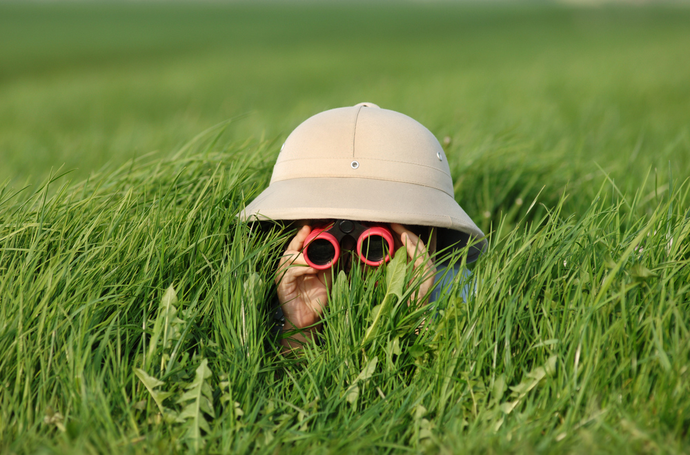 little boy in high grass searching for something... a TIGER???