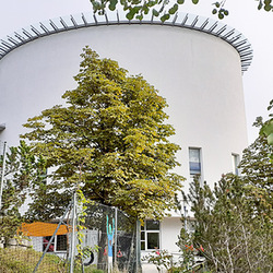 Zentrum Heilig Geist